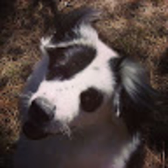 Meet your Posher, Monica - Picture 1 of 1